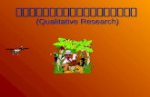 Qualitative ResearchR
