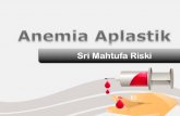 Anemia Aplastik Pp