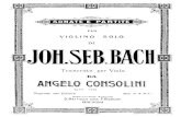 IMSLP29357-PMLP04292-Bach Sonate e Partite for Viola Consolini