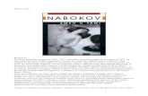 Vladimir Nabokov - Smeh u Tami