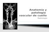 Anatomia y Patologia Vascular de Cuello