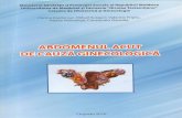 Abdomen Acut de Cauza Ginecologica, C.cardaniuc 2010
