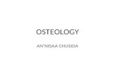 Anatomy OSTEOLOGY