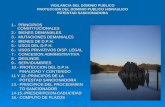 VIGILANCIA DEL DOMINIO PUBLICO PROTECCION DEL DOMINIO PUBLICO HIDRAULICO POTESTAD SANCIONADORA 1.- PRINCIPIOS CONSTITUCIONALES 2.- BIENES DEMANIALES. 3.-