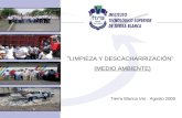 LIMPIEZA Y DESCACHARRIZACIÓN (MEDIO AMBIENTE) Tierra Blanca Ver. Agosto 2008.