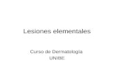 Lesiones elementales Curso de Dermatología UNIBE.