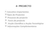 6- PROJECTO Conceitos importantes Tipos de Projectos Processo do projecto Fases do projecto Acção Científica e Acção Tecnológica Informações Complementares.