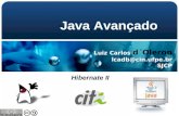 Luiz Carlos d´Oleron lcadb@cin.ufpe.br SJCP Java Avançado Hibernate II.