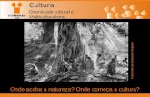 Cultura: Diversidade cultural e Multiculturalismo Onde acaba a natureza? Onde começa a cultura? Fotografia de Sebastião Salgado.
