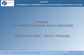 26 Janeiro 2007, Sesimbra A Mobilidade dos Trabalhadores das Telecomunicações e dos Media na Europa A FEANI, os Projectos EUR-ACE e ENGCARD João Duarte.