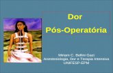 Dor Pós-Operatória Miriam C. Bellini Gazi Anestesiologia, Dor e Terapia Intensiva UNIFESP-EPM.