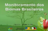 Brasília – setembro de 2009. Metodologia Mapa de Cobertura Vegetal do MMA/PROBIO 2002 como referência. Para todos os biomas: interpretação visual, identificação.