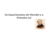 Os Experimentos de Mendel e a Primeira Lei. Os Experimentos de Mendel Gregor Mendel descobriu que as características hereditárias são herdadas segundo.