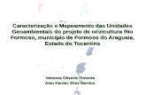 Caracterização e Mapeamento das Unidades Geoambientais do projeto de orizicultura Rio Formoso, município de Formoso do Araguaia, Estado do Tocantins Vanessa.