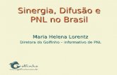 Sinergia, Difusão e PNL no Brasil Maria Helena Lorentz Diretora do Golfinho – informativo de PNL.