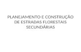 PLANEJAMENTO E CONSTRUÇÃO DE ESTRADAS FLORESTAIS SECUNDÁRIAS.
