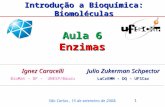 Ignez Caracelli BioMat – DF – UNESP/Bauru São Carlos, 15 de setembro de 2008. Aula 6 Enzimas Introdução a Bioquímica: Biomoléculas Julio Zukerman Schpector.