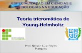 Prof. Nelson Luiz Reyes Marques Teoria tricromática de Young-Helmholtz ESPECIALIZAÇAO EM CIÊNCIAS E TECNOLOGIAS NA EDUCAÇÃO.