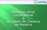 Madeira como Combustível & Secagem de Cavacos de Madeira.