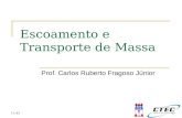 11:43 Escoamento e Transporte de Massa Prof. Carlos Ruberto Fragoso Júnior.