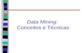 Data Mining: Conceitos e Técnicas. Algumas técnicas para Data Mining Geração de regras de associação; Classificação e predição; Agrupamento (clustering).