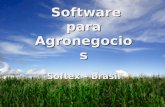 1 Software para Agronegocios Software para Agronegocios Softex – Brasil.