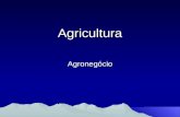 Agricultura Agronegócio. ESPAÇO NATURAL EM TRANSFORMAÇÃO.