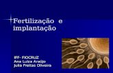 Fertilização e implantação IFF- FIOCRUZ Ana Luiza Araújo Julia Freitas Oliveira.