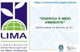 Emilio Lèbre La Rovere, D. Sc. ENERGIA E MEIO AMBIENTE ENERGIA E MEIO AMBIENTE.