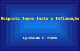 Resposta Imune Inata e Inflamação Aguinaldo R. Pinto.