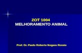 ZOT 1004 MELHORAMENTO ANIMAL Prof. Dr. Paulo Roberto Nogara Rorato.