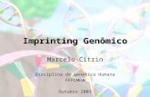 Imprinting Genômico Marcelo Citrin Disciplina de Genética Humana FFFCMPA Outubro 2003.