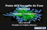Ponto de Checagem do Fuso Mitótico (Spindle Checkpoint) Niara Oliveira Disciplina de Genética Humana.