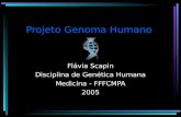 Projeto Genoma Humano Flávia Scapin Disciplina de Genética Humana Medicina - FFFCMPA 2005.
