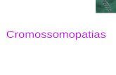 Cromossomopatias. A Síndrome de Down, a Síndrome de Turner e a Síndrome de Klinefelter são cromossomopatias numéricas e/ou estruturais relacionadas com.