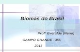 Biomas do Brasil Profº Everaldo (Neno) CAMPO GRANDE - MS 2013.
