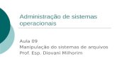 Administração de sistemas operacionais Aula 09 Manipulação do sistemas de arquivos Prof. Esp. Diovani Milhorim.
