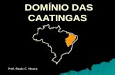 DOMÍNIO DAS CAATINGAS DOMÍNIO DAS CAATINGAS Prof. Paulo C. Moura.