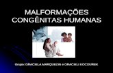 MALFORMAÇÕES CONGÊNITAS HUMANAS Grupo: GRACIELA MARQUEZIN e GRACIELI KOCOUREK.