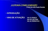 SISTEMA COMPLEMENTO - INTRODUÇÃO - VIAS DE ATIVAÇÃO: VIA CLÁSSICA VIA DA LECTINA VIA DA LECTINA VIA ALTERNATIVA Profa Dra Ana Paula Ferreira.