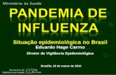 Brasilia, 29 de março de 2010 Situação epidemiológica no Brasil Eduardo Hage Carmo Diretor de Vigilância Epidemiológica.