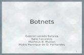 1 Botnets Gabriel Losada Saraiva Gaio Caculakis Matheus R. Mutton Pedro Henrique de O. Fernandes.