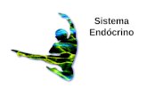 Sistema Endócrino. Endócrino e Nervoso O sistema nervoso e endócrino atuam juntos na coordenação e regulação das funções corporais Nervoso Nervoso - mensagens.