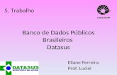 Banco de Dados Públicos Brasileiros Datasus Eliane Ferreira Prof. Luciel 5. Trabalho.
