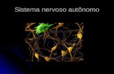 Sistema nervoso autônomo. O sistema nervoso Autônomo é um sistema involuntário que controla e modula as funções, primariamente, dos órgãos viscerais.
