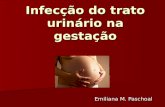 Infecção do trato urinário na gestação Emiliana M. Paschoal.