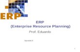 1 ERP (Enterprise Resource Planning) Prof. Eduardo Apostila 6.