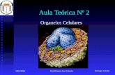 Biologia Celular 2001/2002Prof.Doutor José Cabeda Aula Teórica Nº 2 Organelos Celulares.