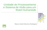 Unidade de Processamento e Sistema de Visão para um Robô Humanóide Mauro André Moreira Rodrigues Universidade de Aveiro.