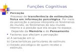 Funções Cognitivas Perceção Processo de transferência de estimulação física em informação psicológica. Por meio da perceção a pessoa interpreta os fenómenos.